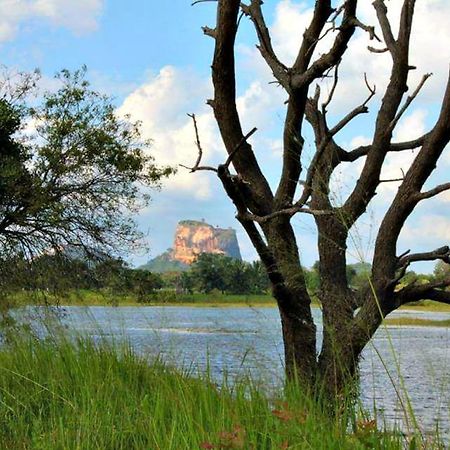 Rho Sigiriya Lake Edge Retreat Kibissa Εξωτερικό φωτογραφία