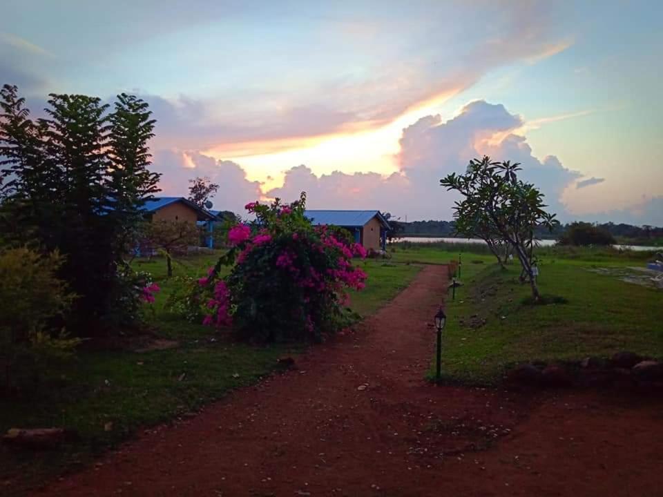 Rho Sigiriya Lake Edge Retreat Kibissa Εξωτερικό φωτογραφία