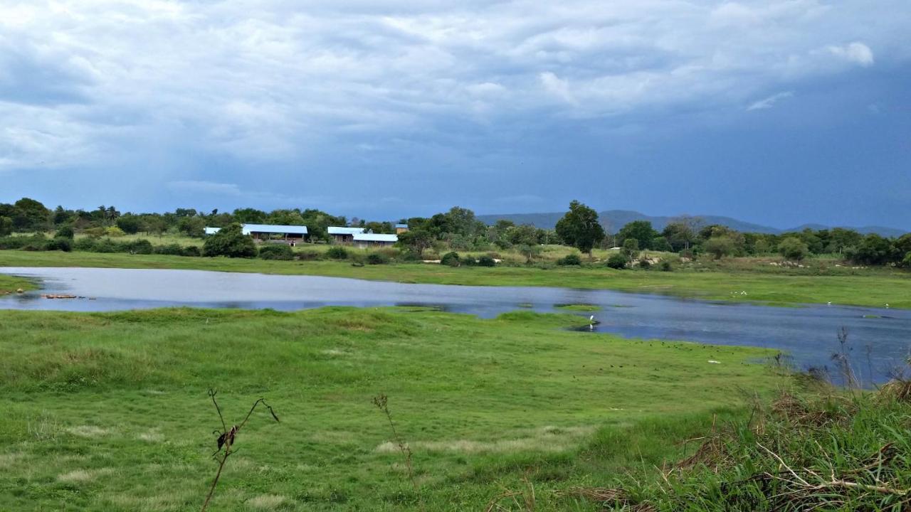 Rho Sigiriya Lake Edge Retreat Kibissa Εξωτερικό φωτογραφία