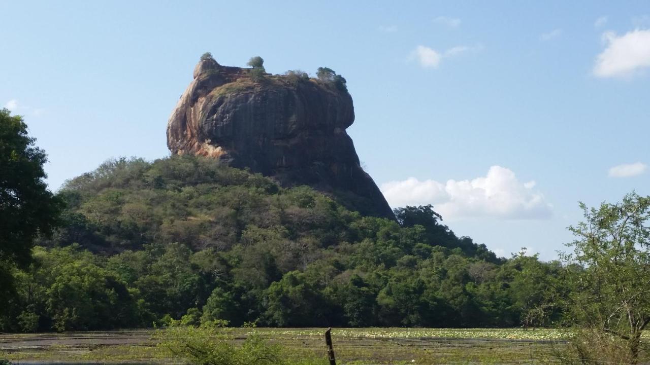 Rho Sigiriya Lake Edge Retreat Kibissa Εξωτερικό φωτογραφία