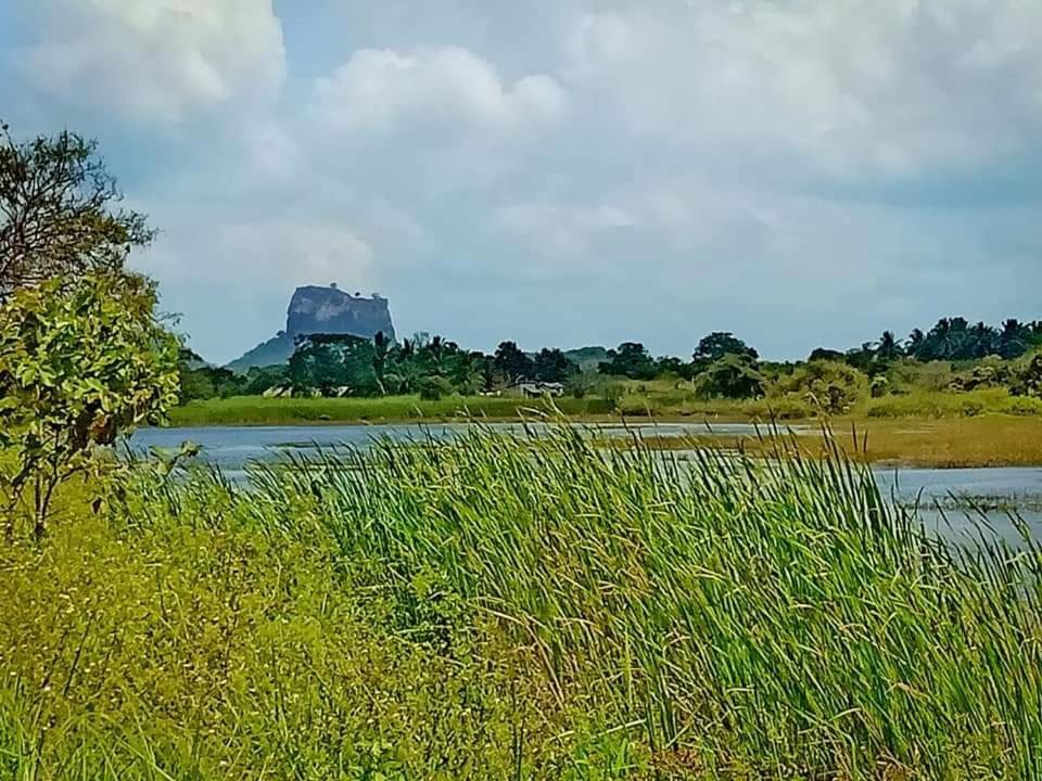 Rho Sigiriya Lake Edge Retreat Kibissa Εξωτερικό φωτογραφία