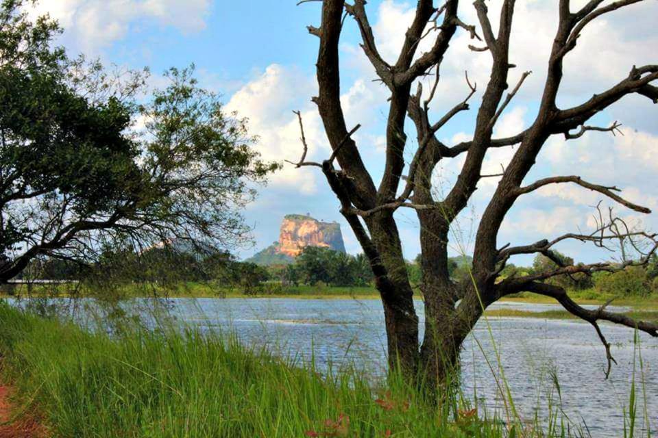 Rho Sigiriya Lake Edge Retreat Kibissa Εξωτερικό φωτογραφία